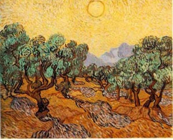 Olive trees with yellow sky and sun 1889 xx minneapolis institute of arts